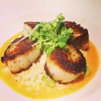 9884e8fb803cdd624504448f41610417