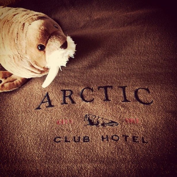 11114281_10152712533771831_7806514143193785221_n