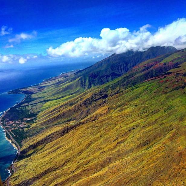 12004802_10153005370531831_3529375250924073647_n