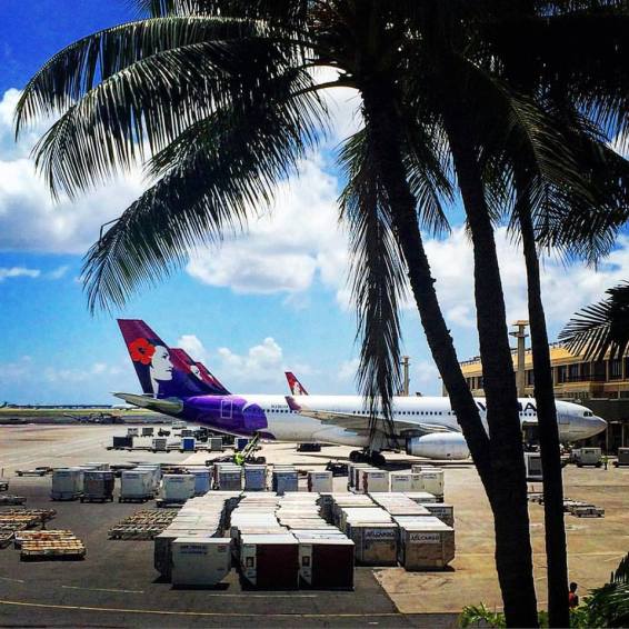 12027551_10152997767896831_2174397590153333394_n