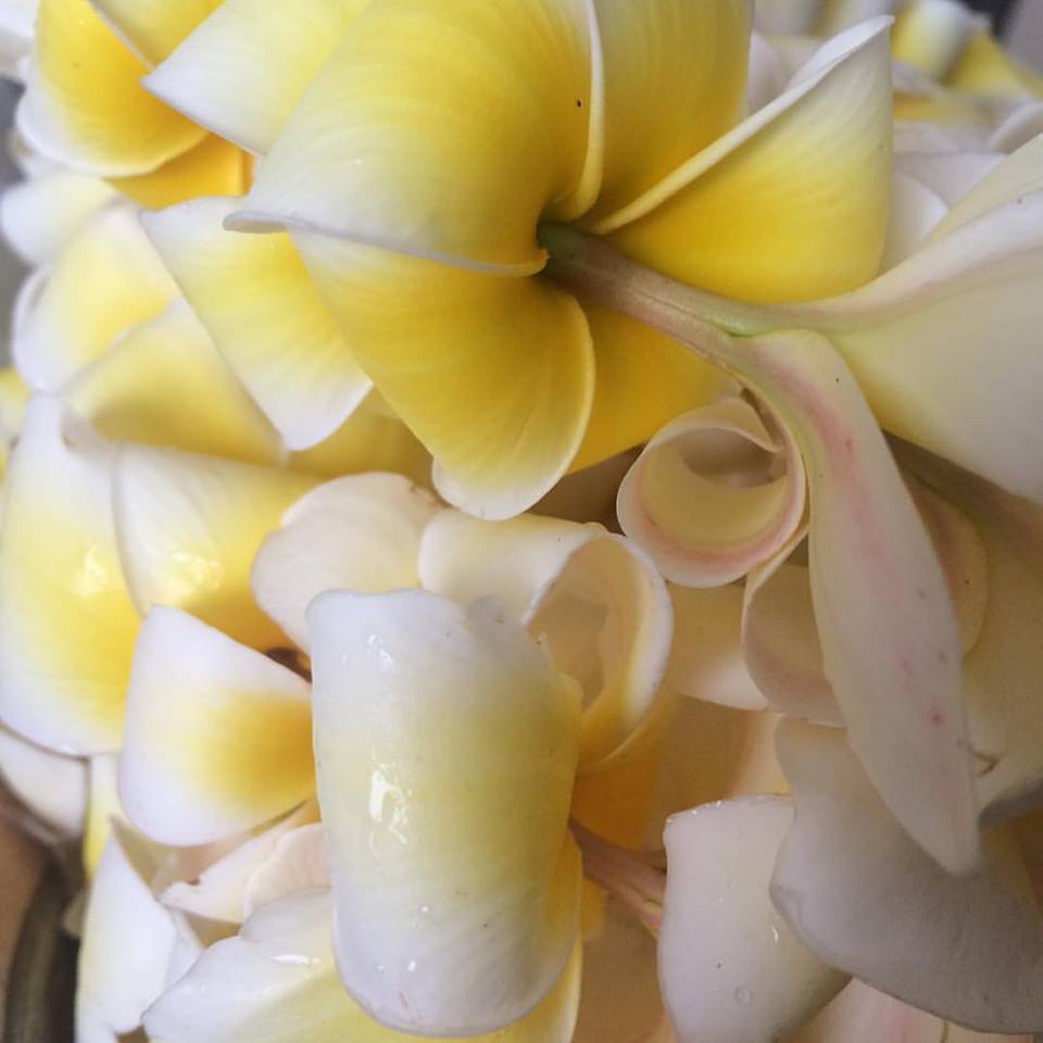 10 Hawaiian Words You Re Probably Saying Wrong Abfabskylife S