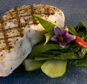 c759368a95ff11da918c0e57d19dd553